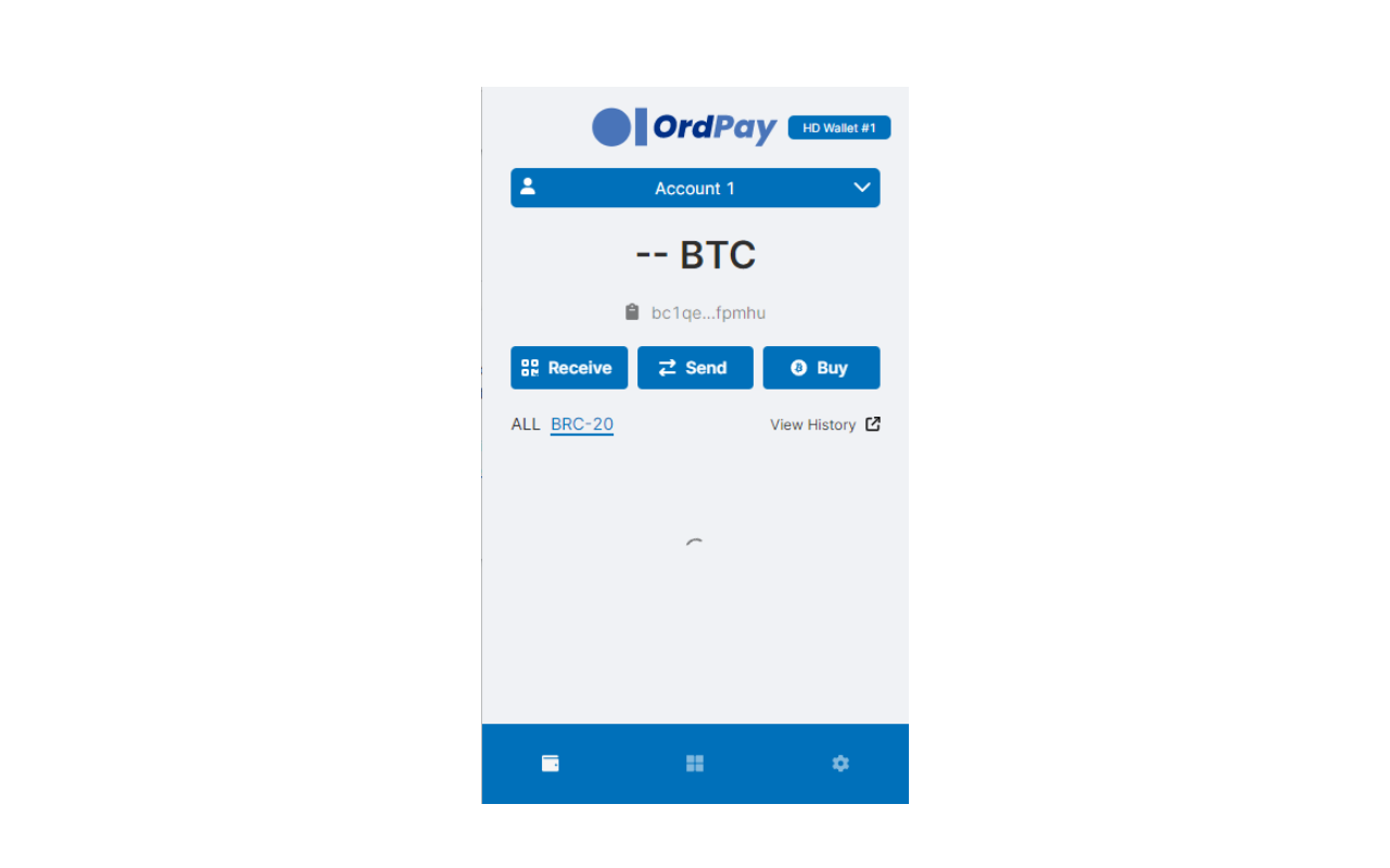 OrdPay Wallet截图1