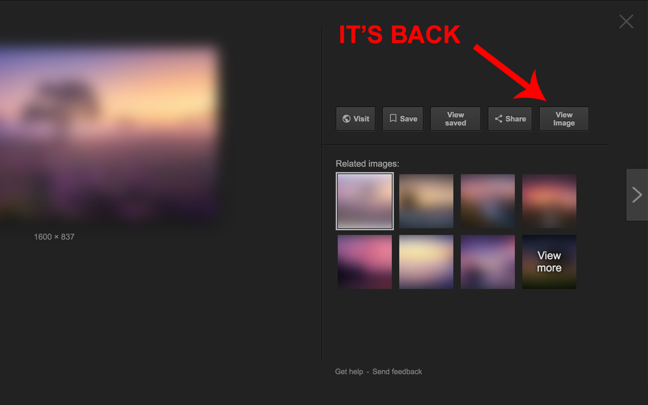 View Image button for Google Images™截图1