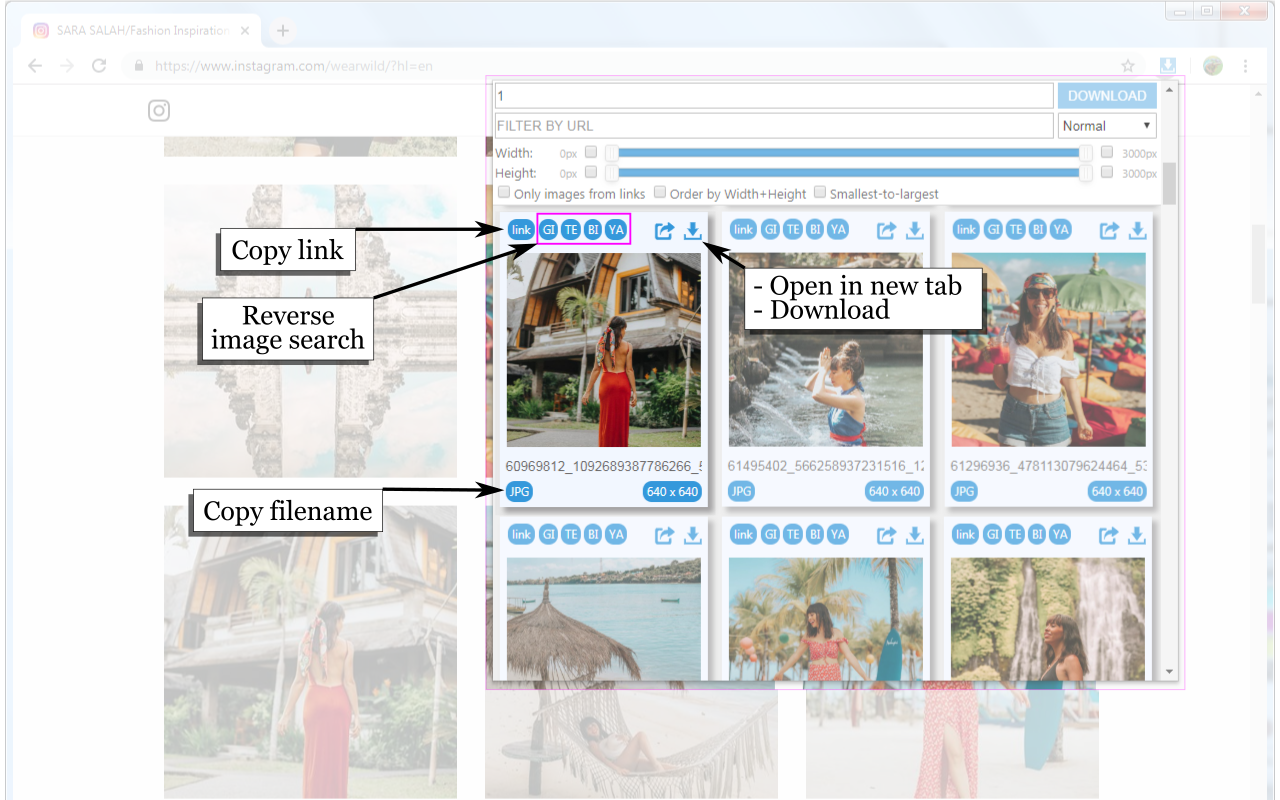 Image Downloader Continued截图3