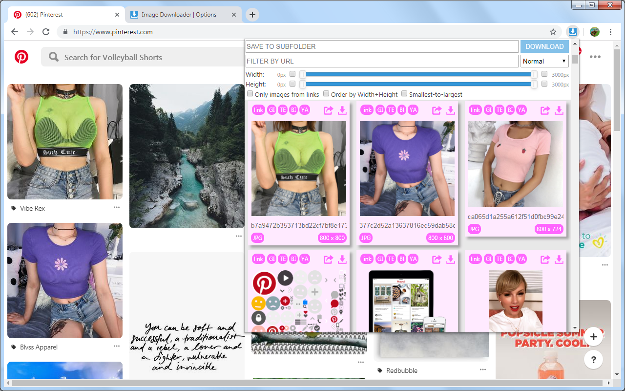 Image Downloader Continued截图5
