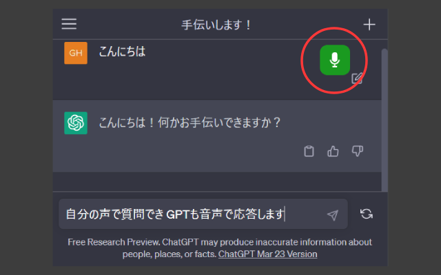 VoiceChatGPT截图1