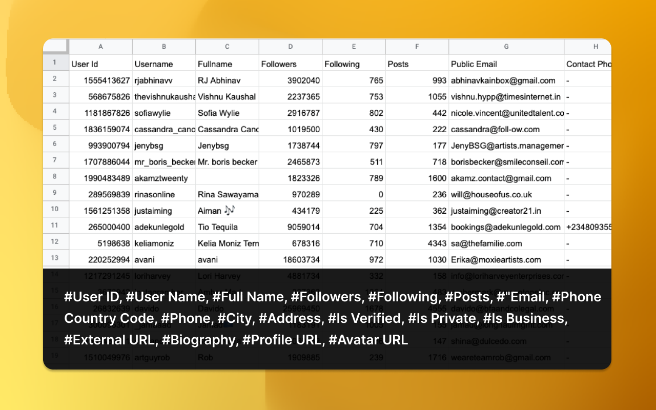 EmailFox - IG Email Extractor and Scraper截图5