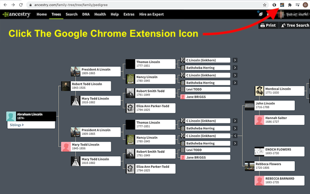 Ancestry DNA Paths (beta)截图2