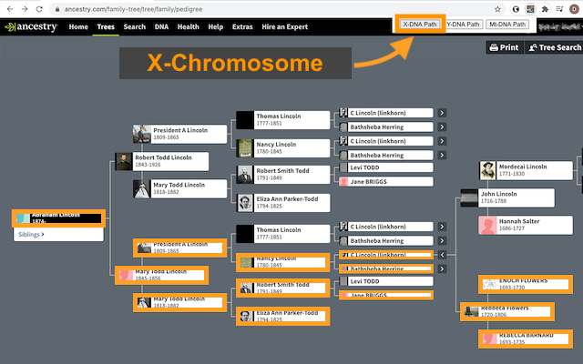 Ancestry DNA Paths (beta)截图4