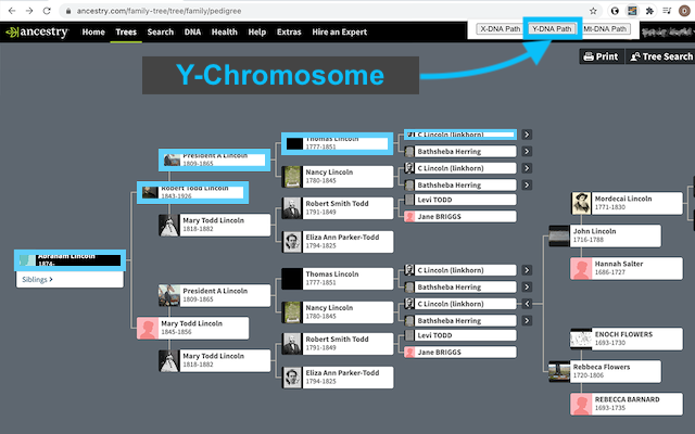 Ancestry DNA Paths (beta)截图5