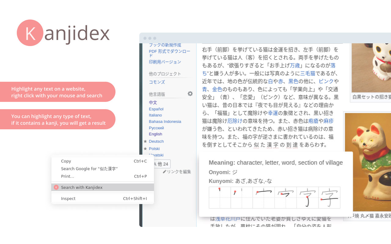 Kanjidex截图1