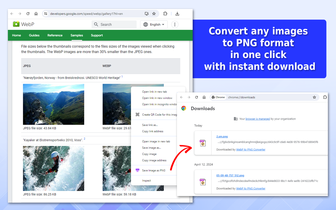 WebP 到 PNG 转换器截图1