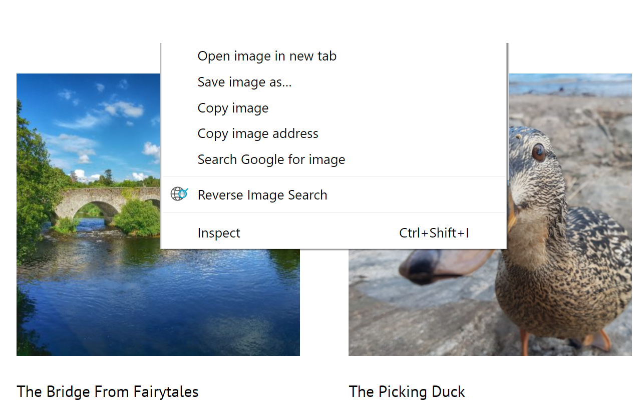 Reverse Image Search截图1