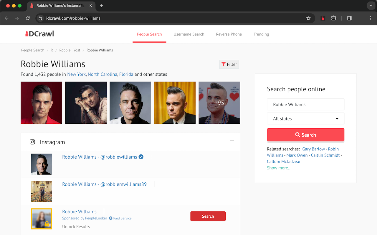 IDCrawl - Free People Search截图1