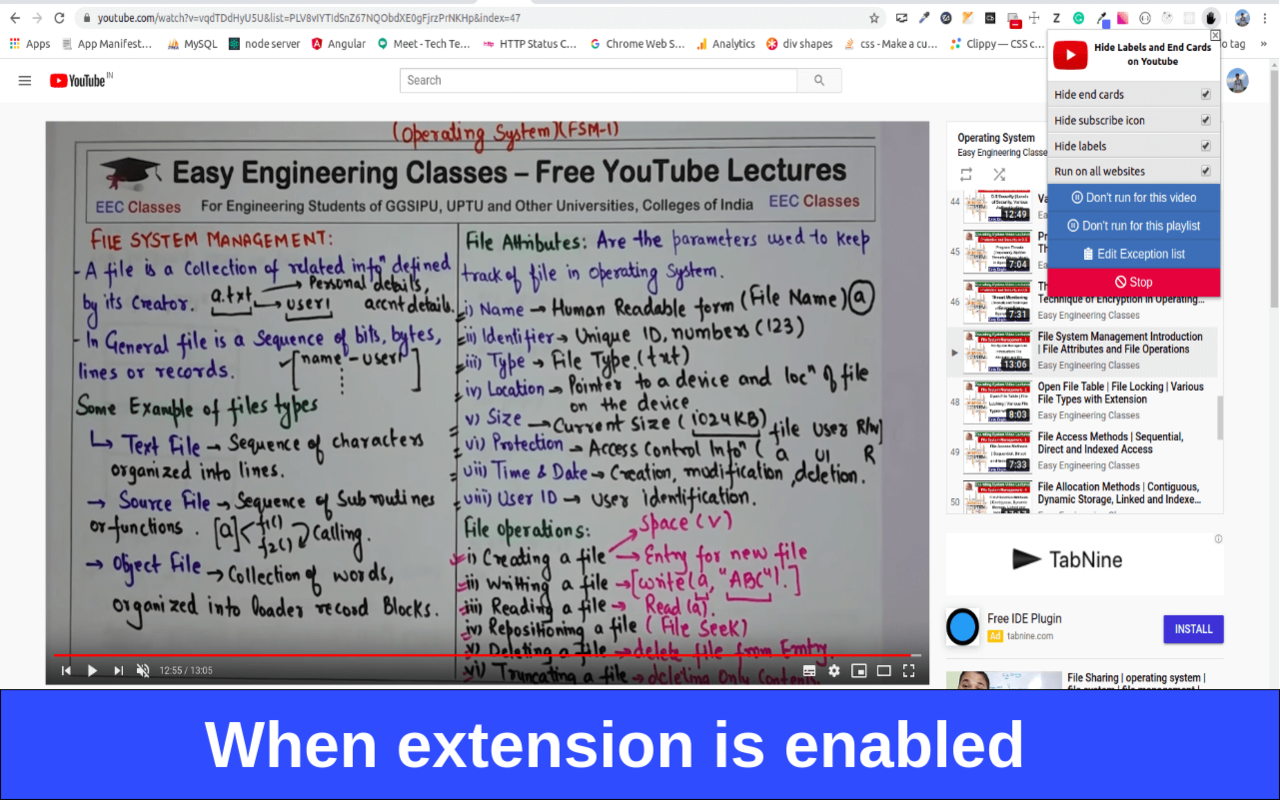 Hide Labels and End Cards on Youtube截图4