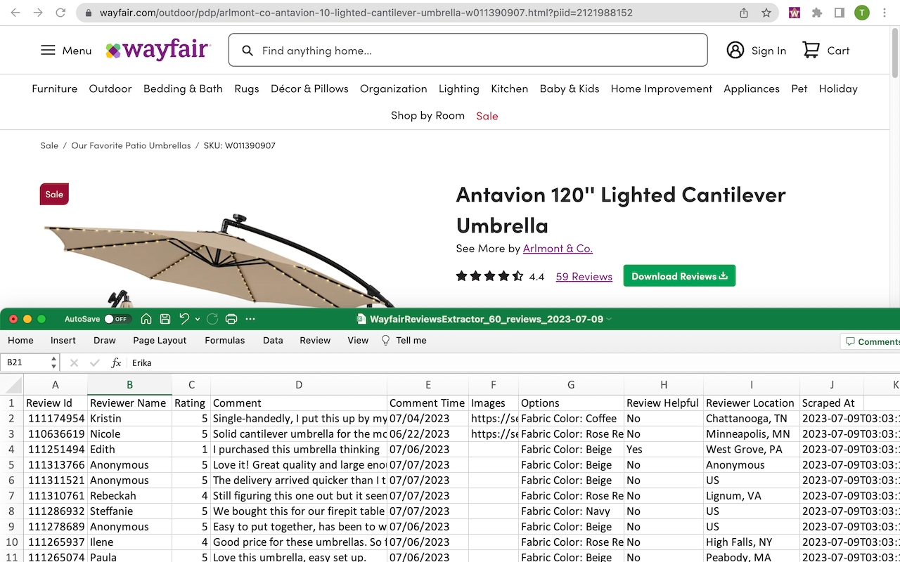 Wayfair商品评论一键导出CSV截图3
