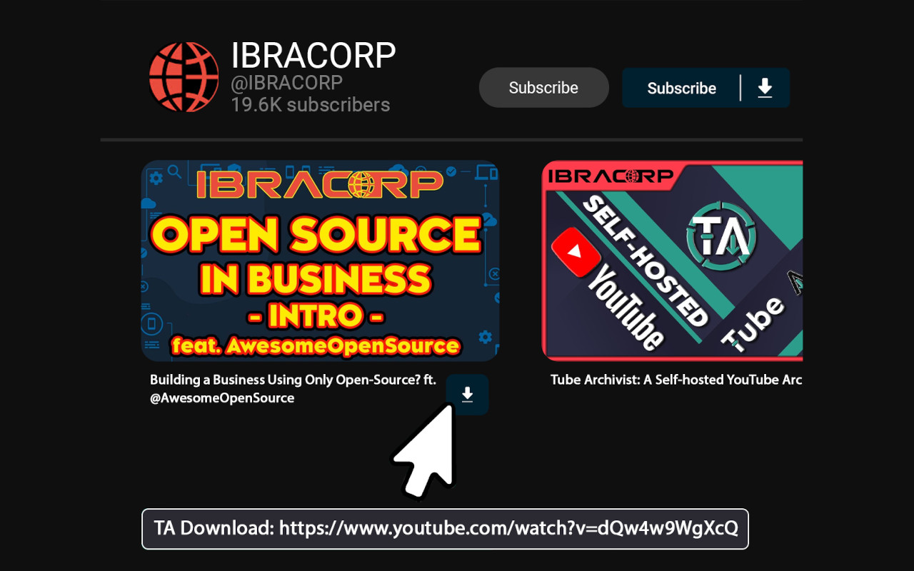 TubeArchivist Companion截图4