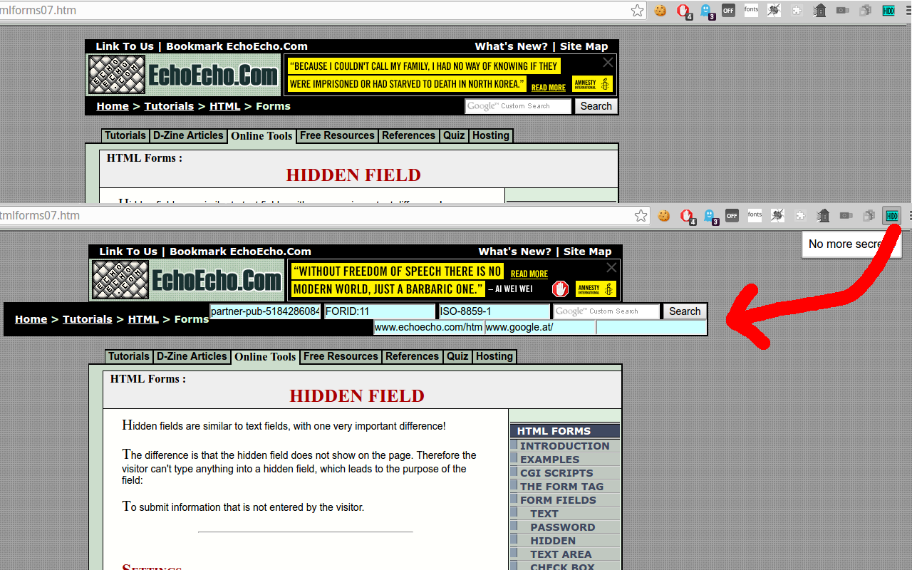 Edit Hidden Fields截图1