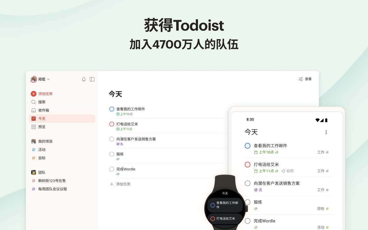 Chrome版Todoist:提醒事项&计划截图2