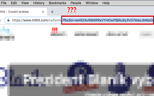 Kill fbclid截图1