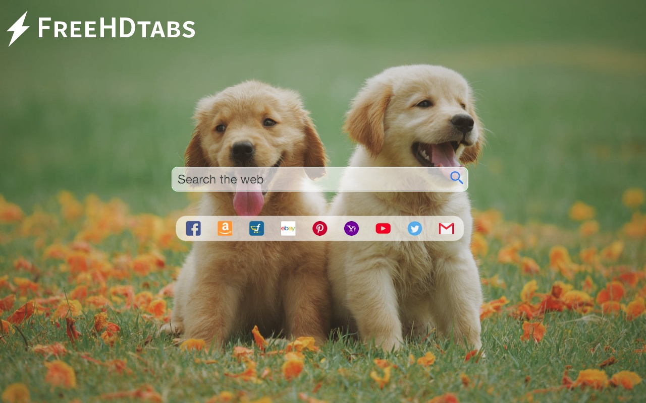 Cute Dog Puppies截图3