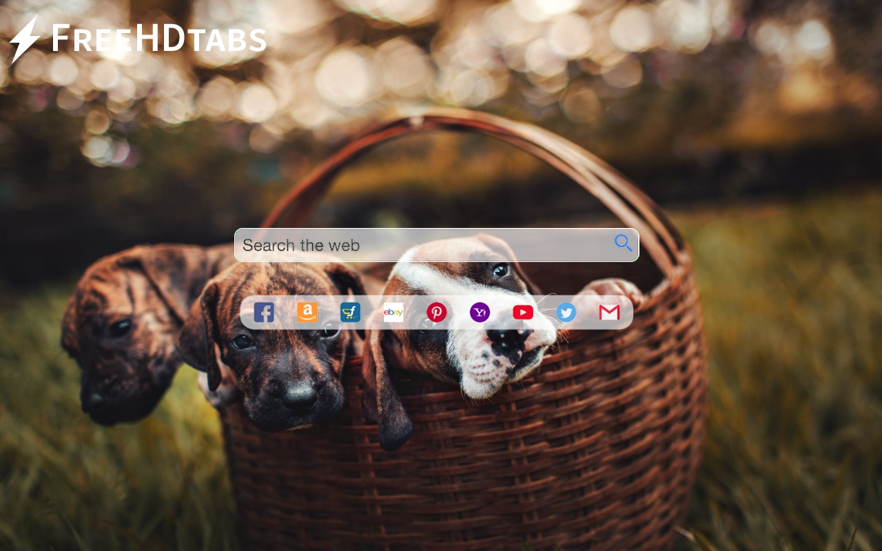 Cute Dog Puppies截图4