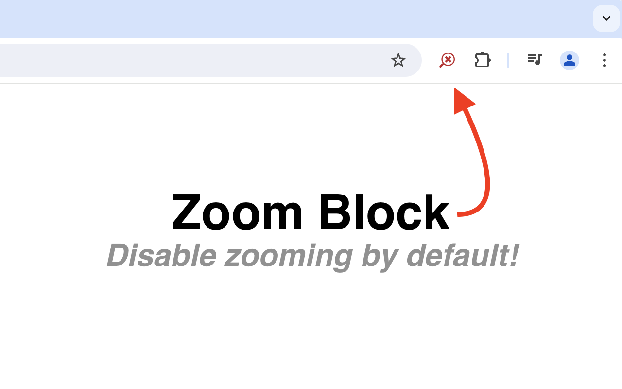 Zoom Block截图1