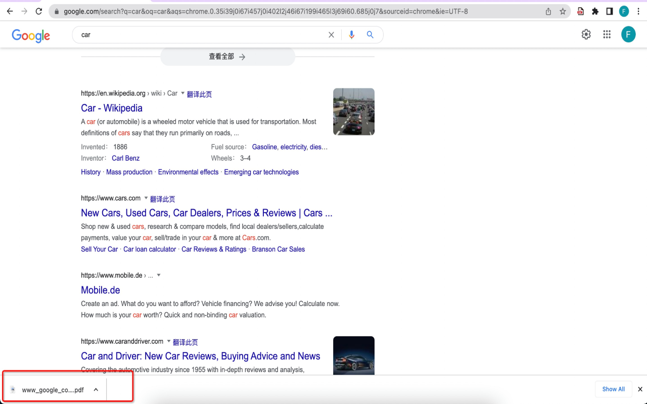 Save Webpage As PDF截图2