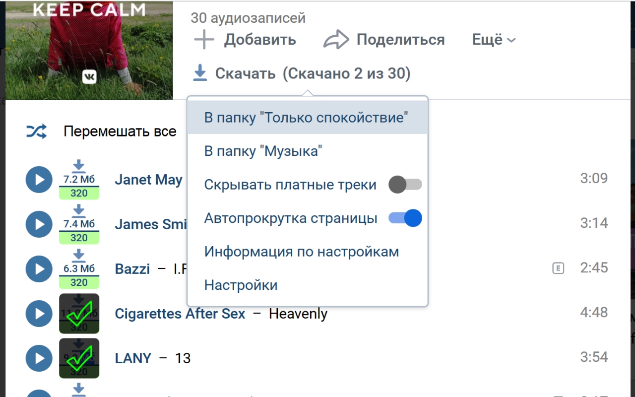VkSaved截图2