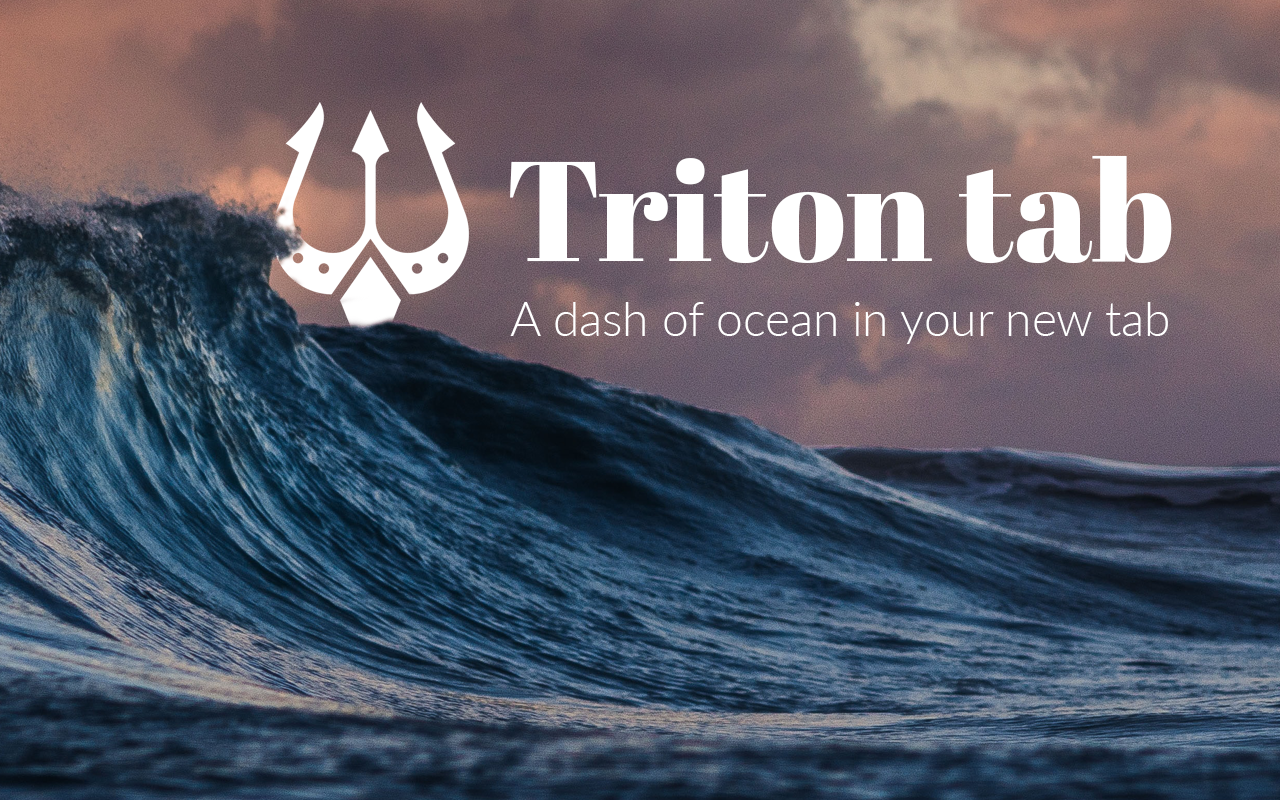 Triton Tab截图3