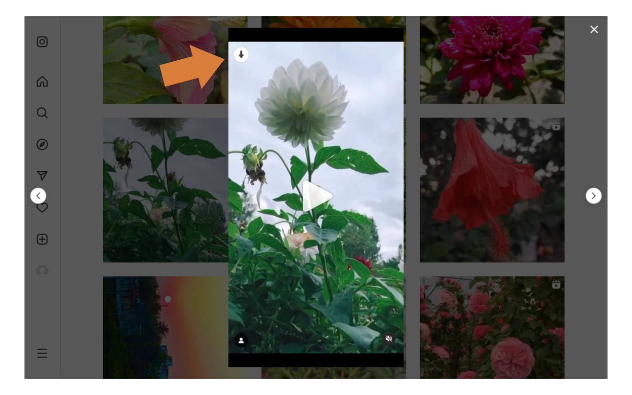 Video Downloader for IW截图1