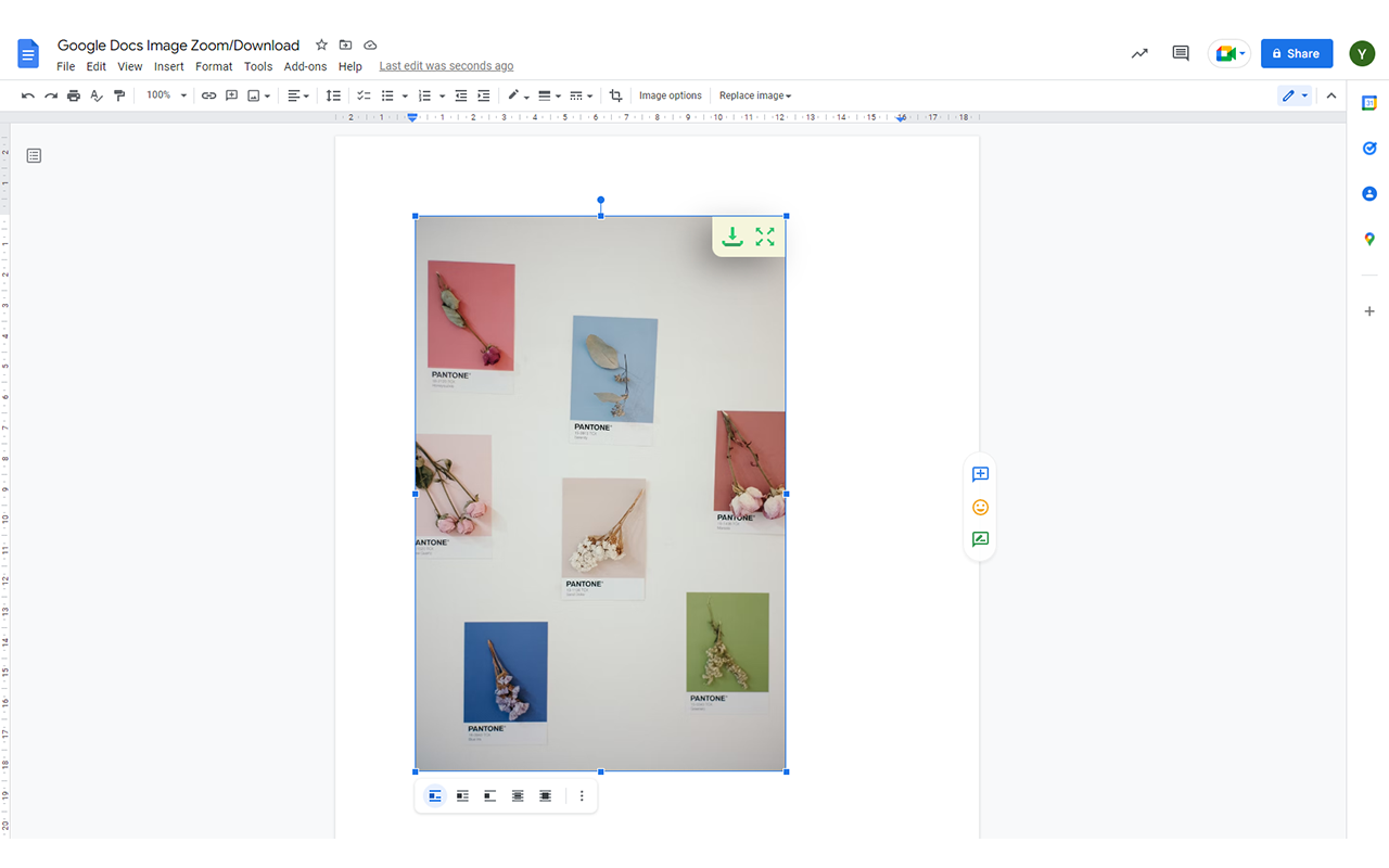 Google Docs Image Zoom截图4