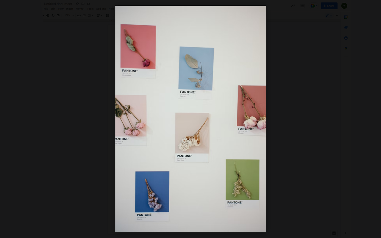 Google Docs Image Zoom截图5