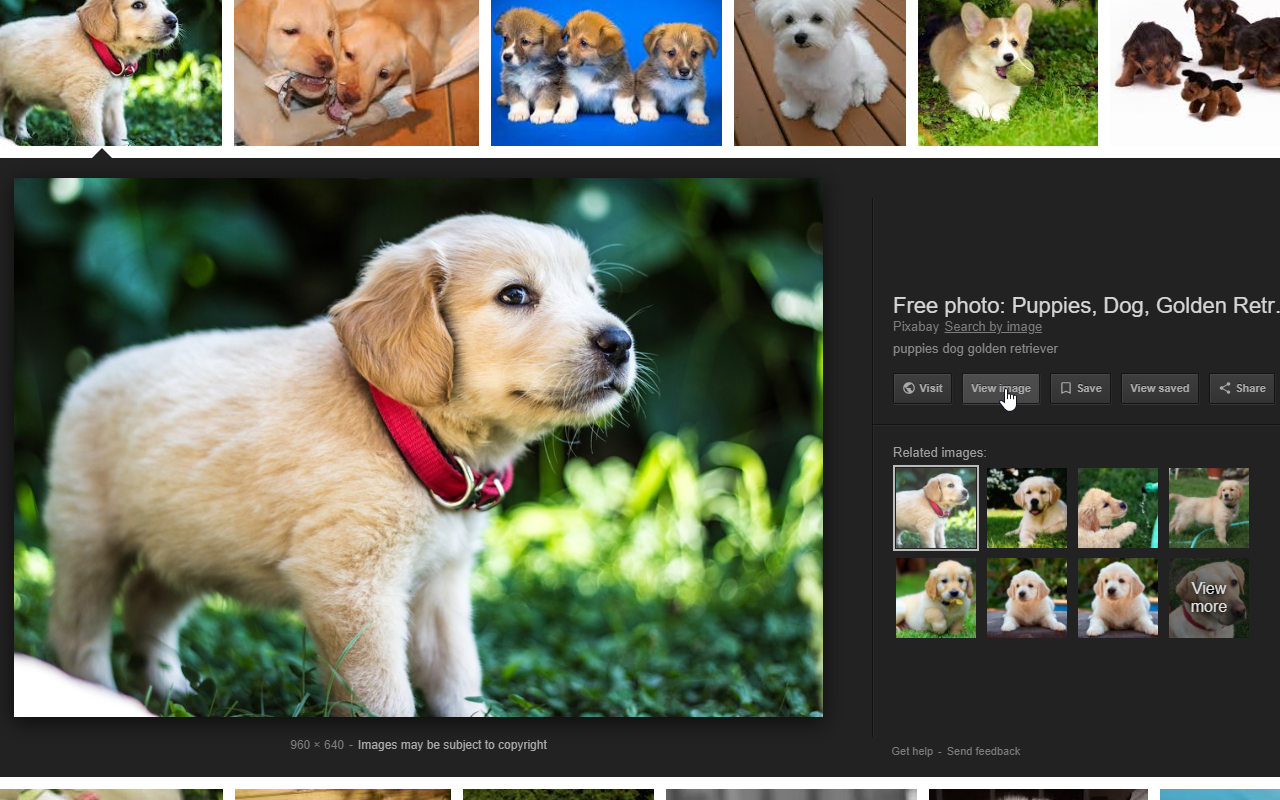 View Image截图1