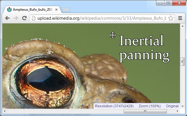 Image Autosizer截图3