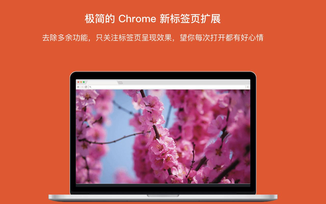 简 Tab (SimpTab) - 新标签页截图2