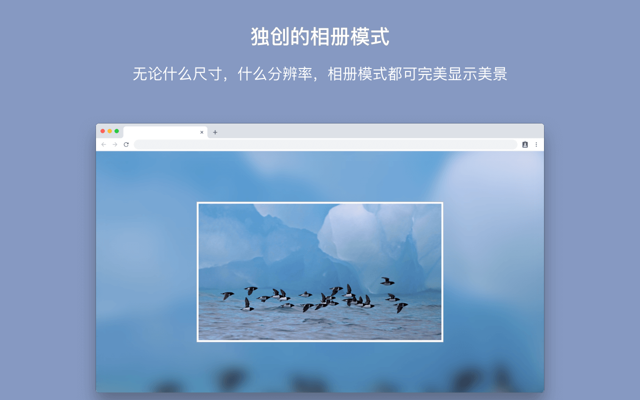 简 Tab (SimpTab) - 新标签页截图3