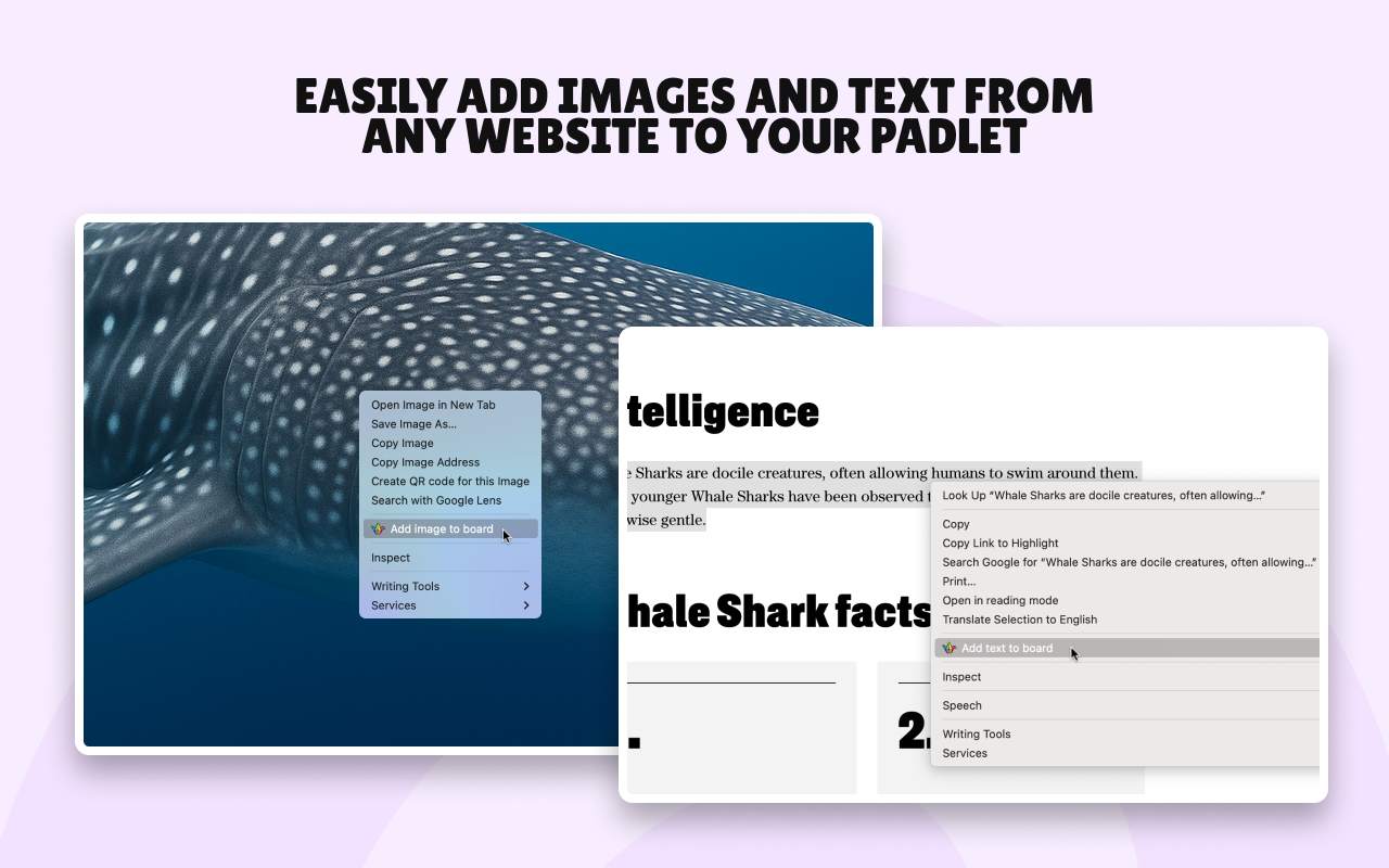 Padlet Mini截图5