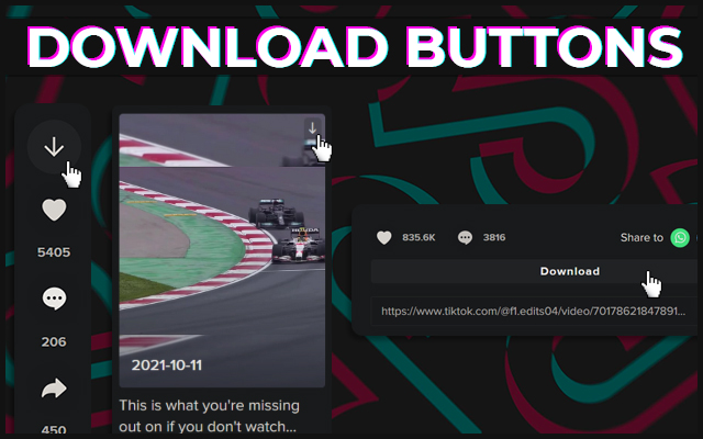TikTok Download Buttons截图1