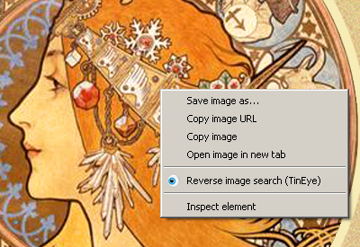 RevEye Reverse Image Search截图1