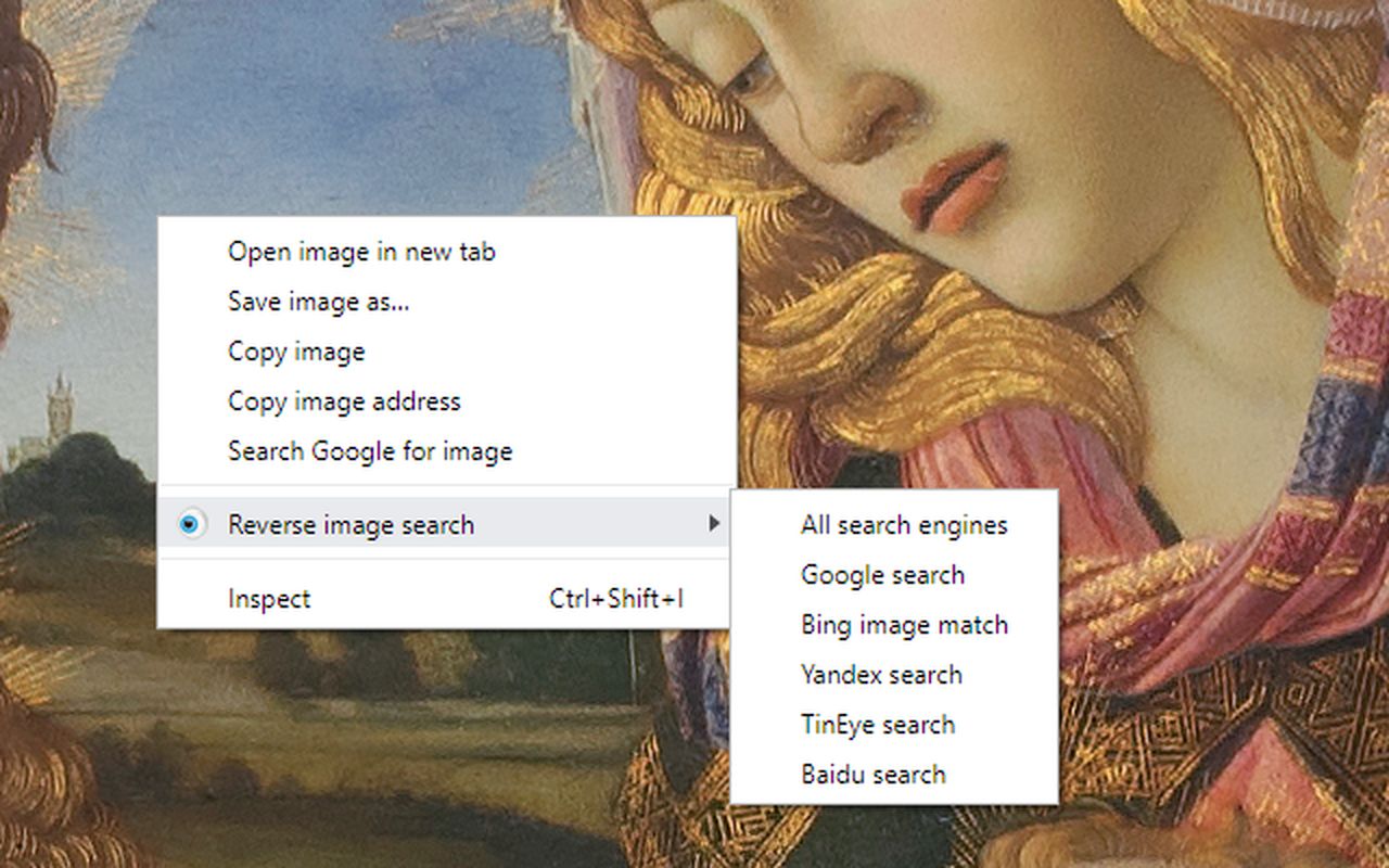 RevEye Reverse Image Search截图3