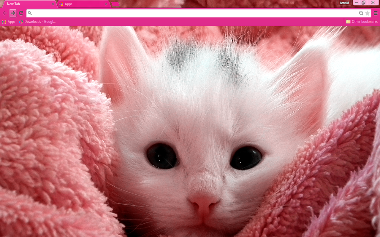 Pink Kitten截图2