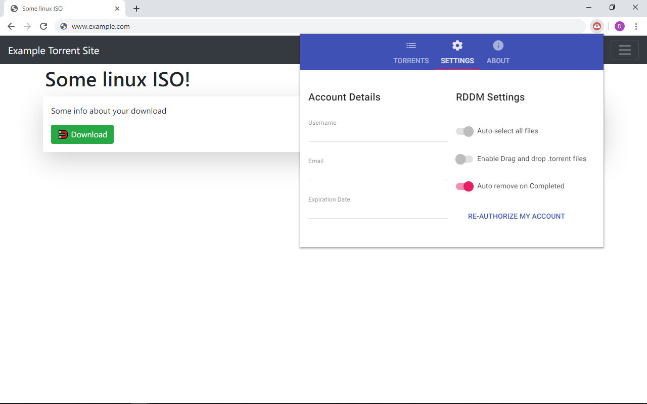 Real Debrid Download Manager截图1