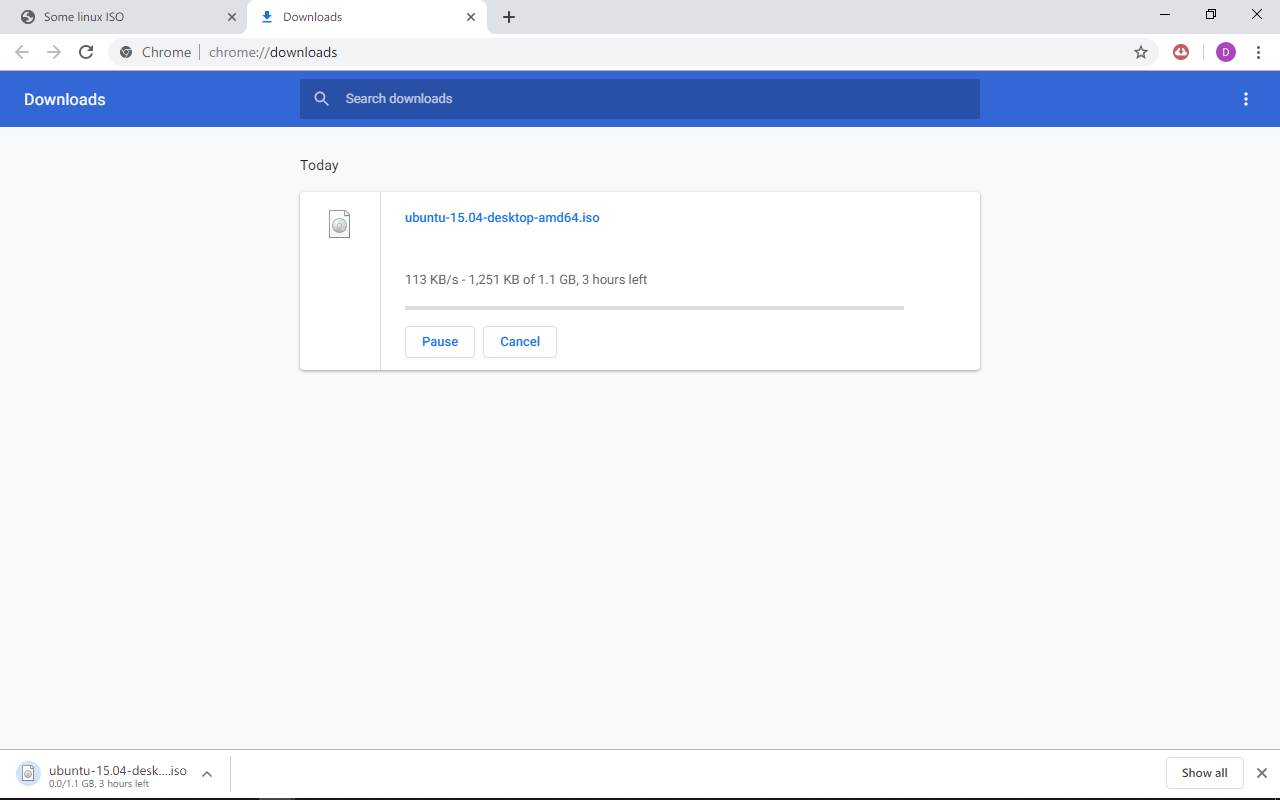 Real Debrid Download Manager截图2