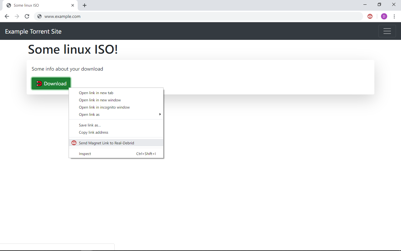 Real Debrid Download Manager截图4