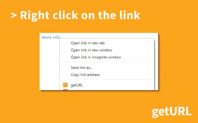 getURL - Link Parameter Extractor截图5