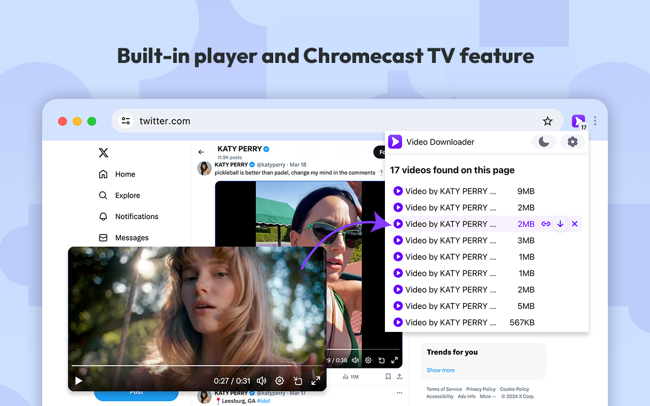 Video Downloader Plus截图1