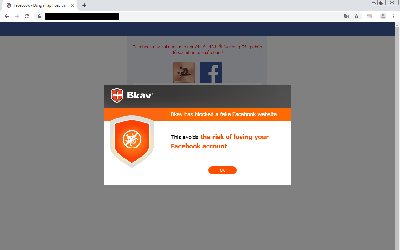 Bkav Pro plugin - Tiện ích bảo vệ trình duyệt截图3