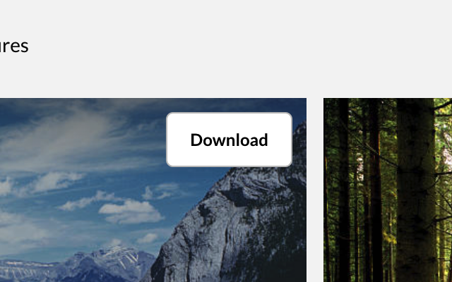 GetGetty Extension截图1