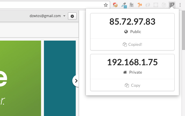IP Address Finder截图2
