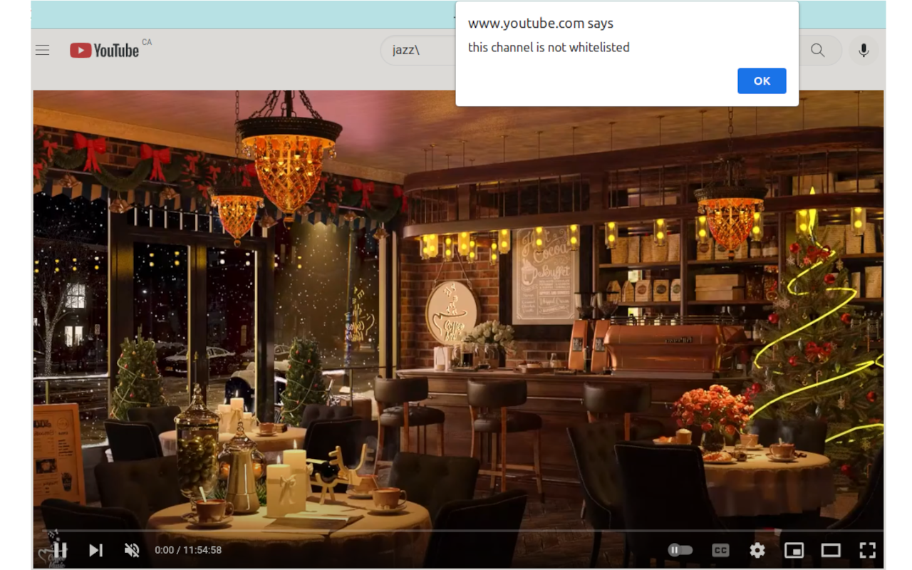 Channel Block List for Youtube截图5