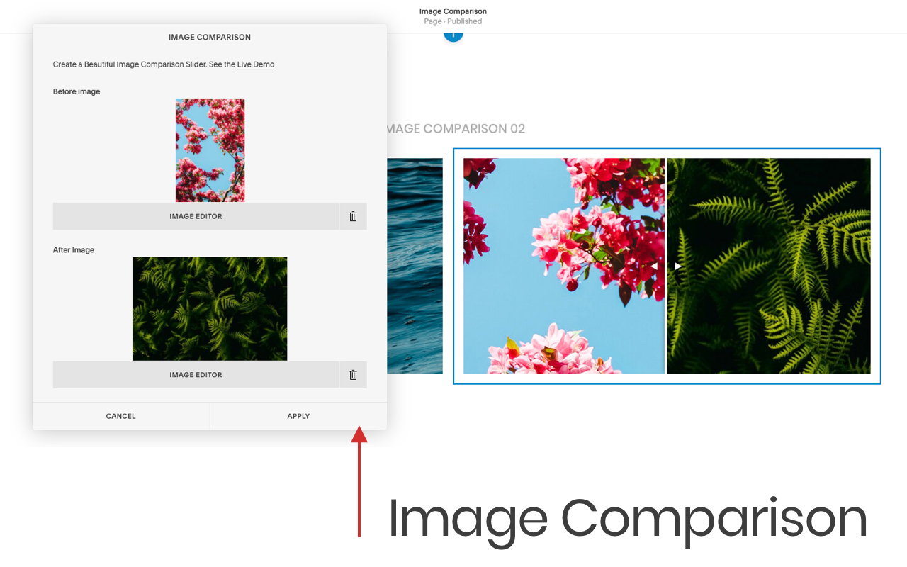 Squarespace Ninja Kit Extension截图4