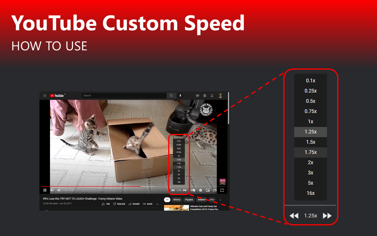 Youtube Custom Speed截图3