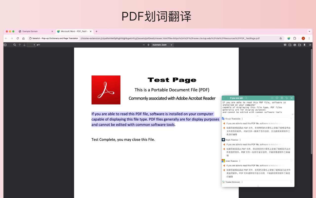 沙拉翻译：聚合词典 、划词翻译、沉浸式(对照)翻译 & 查词截图2