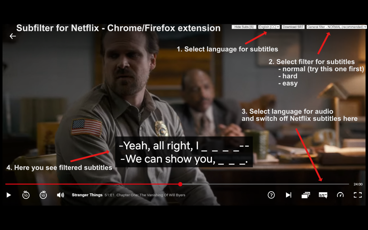 Subfilter for Netflix截图1